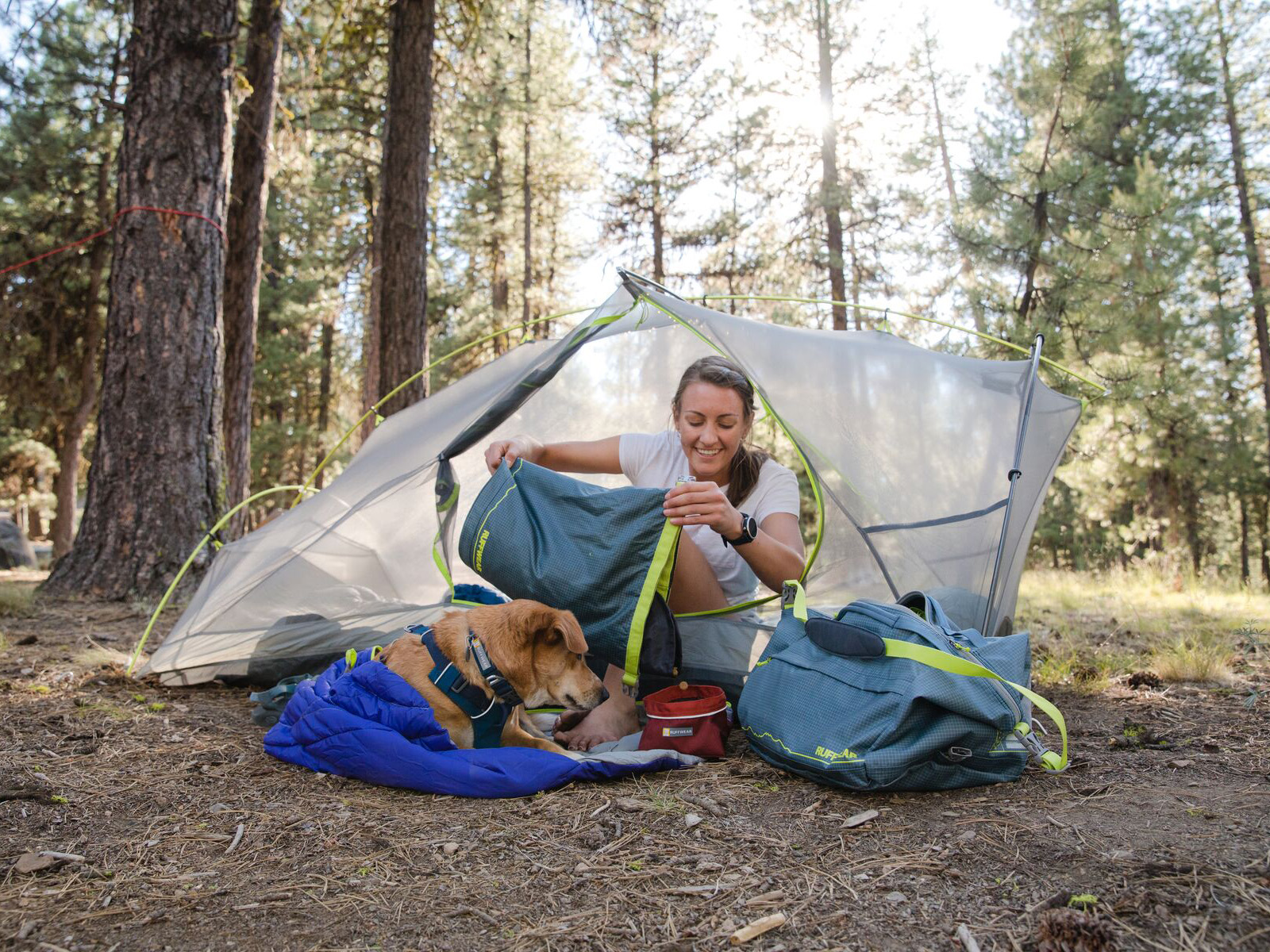 Camping mit Hund - Das ganz besondere Abenteuer